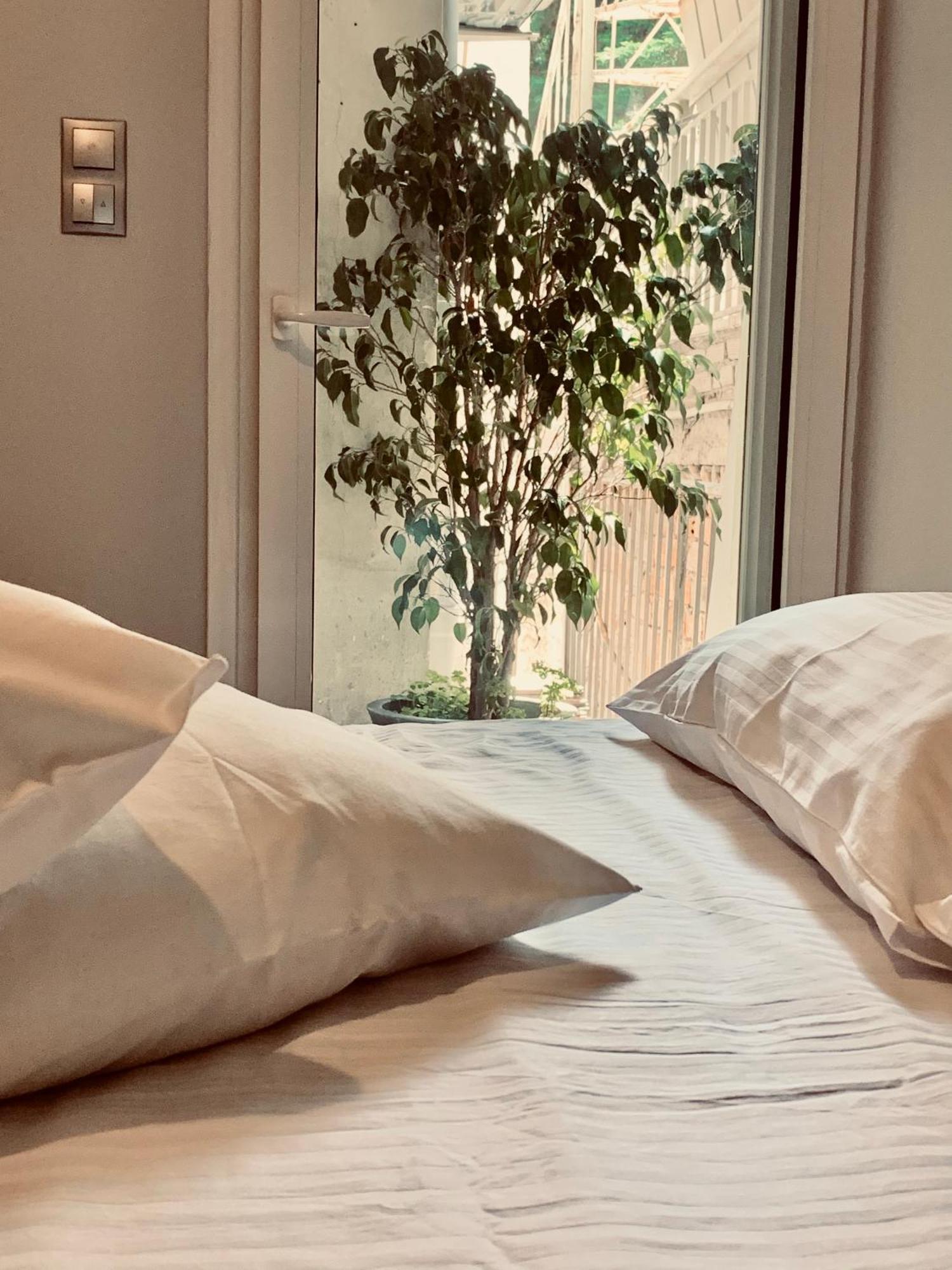 Olympian Zeus Apartments أثينا المظهر الخارجي الصورة